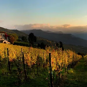 Fattoria Lavacchio , Pontassieve Italia